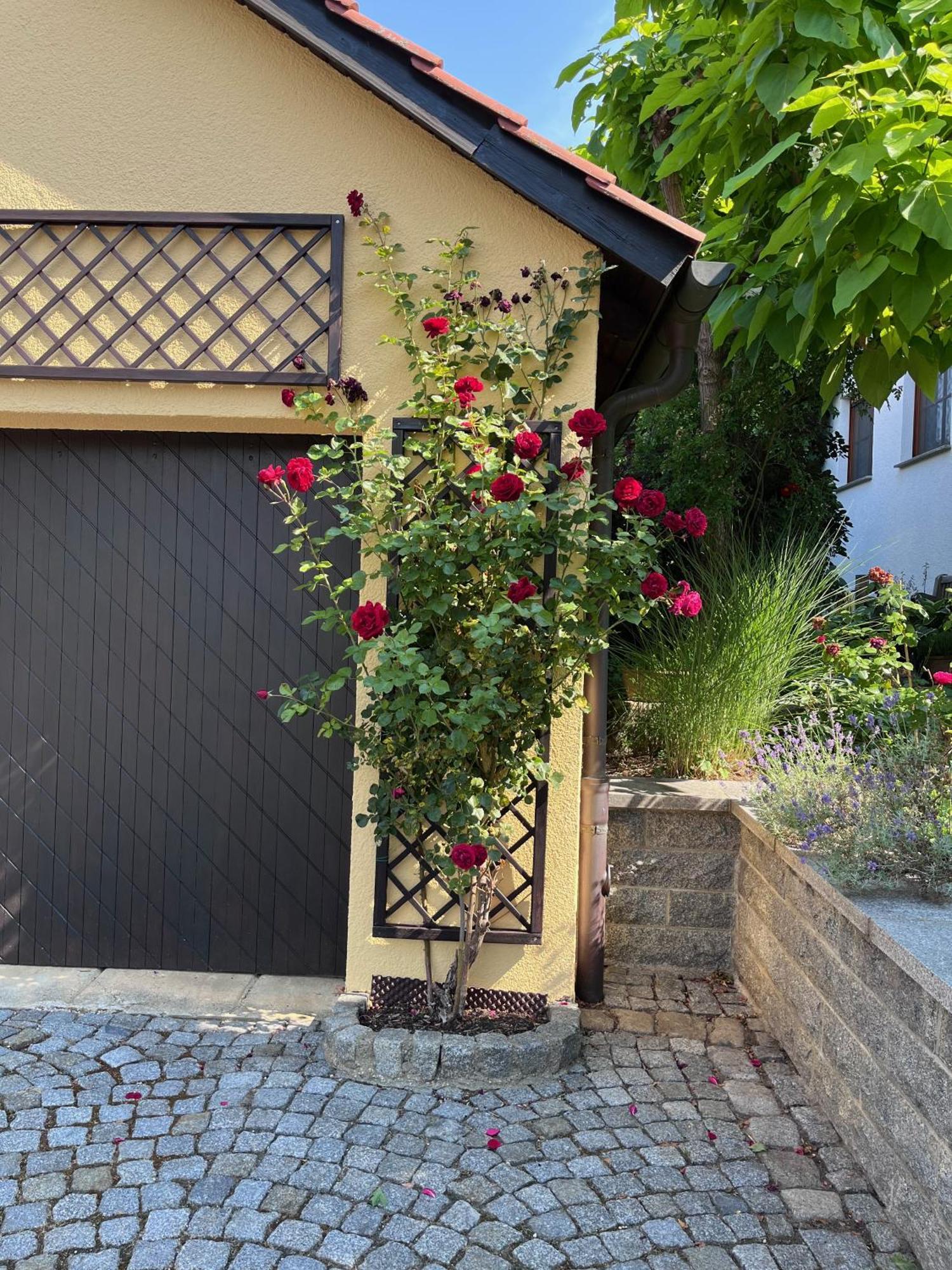 Ferienoase In Der Bierstadt Bei Dresden Apartment *